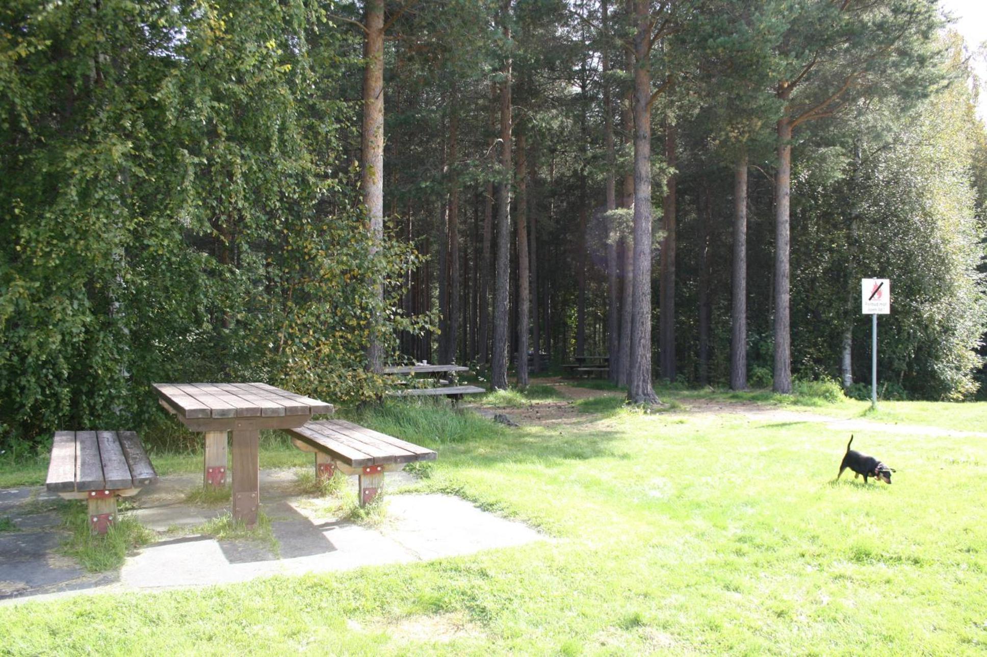 Dovreskogen Gjestegard As Ngoại thất bức ảnh
